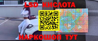 молекула духа Кингисепп