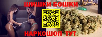 прущие грибы Кандалакша