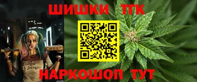прущие грибы Кандалакша