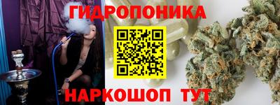 стаф Камышлов