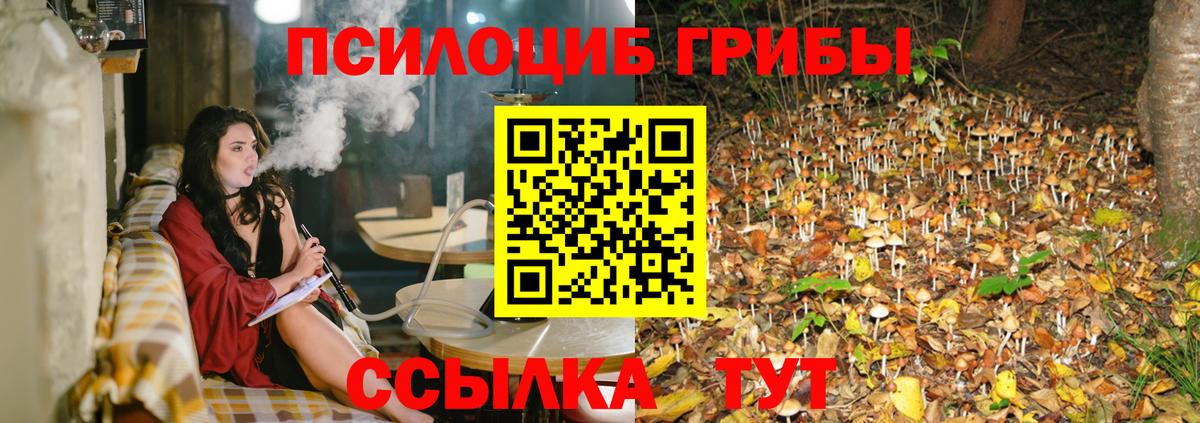 Зеленодольск  как найти закладки  Вход с VPN  Псилоцибиновые грибы ЛСД  Псилоцибиновые грибы мицелий 